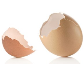 [Image - cracked egg]