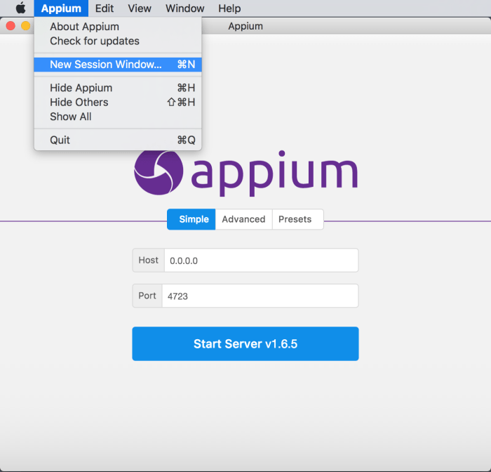 New Appium Session.png